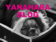 YANAHARA BLOG