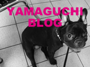 YAMAGUCHI BLOG