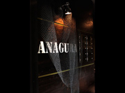 WORKS 2011.07.30　ANAGURA_05